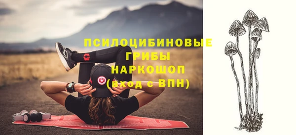 спайс Абинск