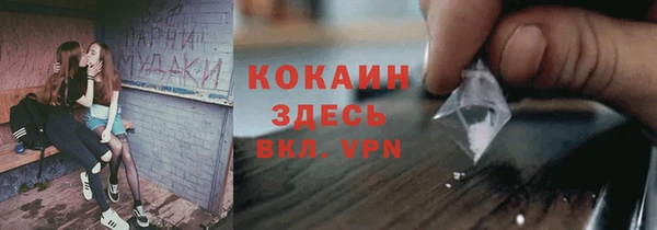 стаф Абаза