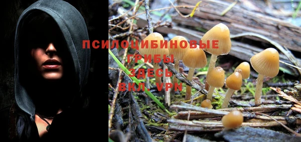 спайс Абинск