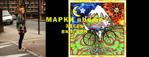 стаф Абаза