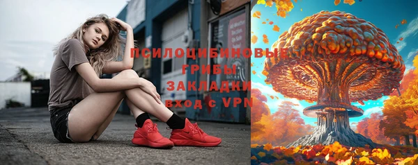 стаф Абаза
