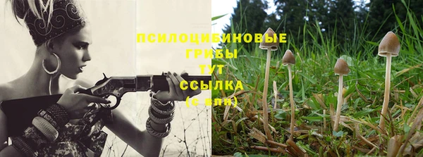 ECSTASY Абдулино